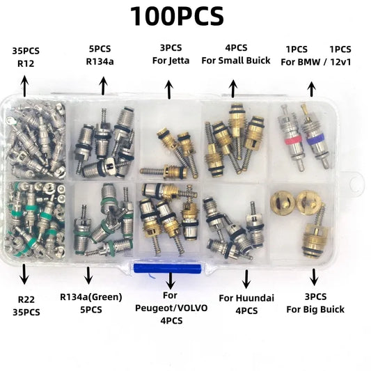 R134A Car A/C Core Valves Automotive Air Conditioning Assortment Kit 100Pcs/box